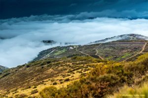 paysage